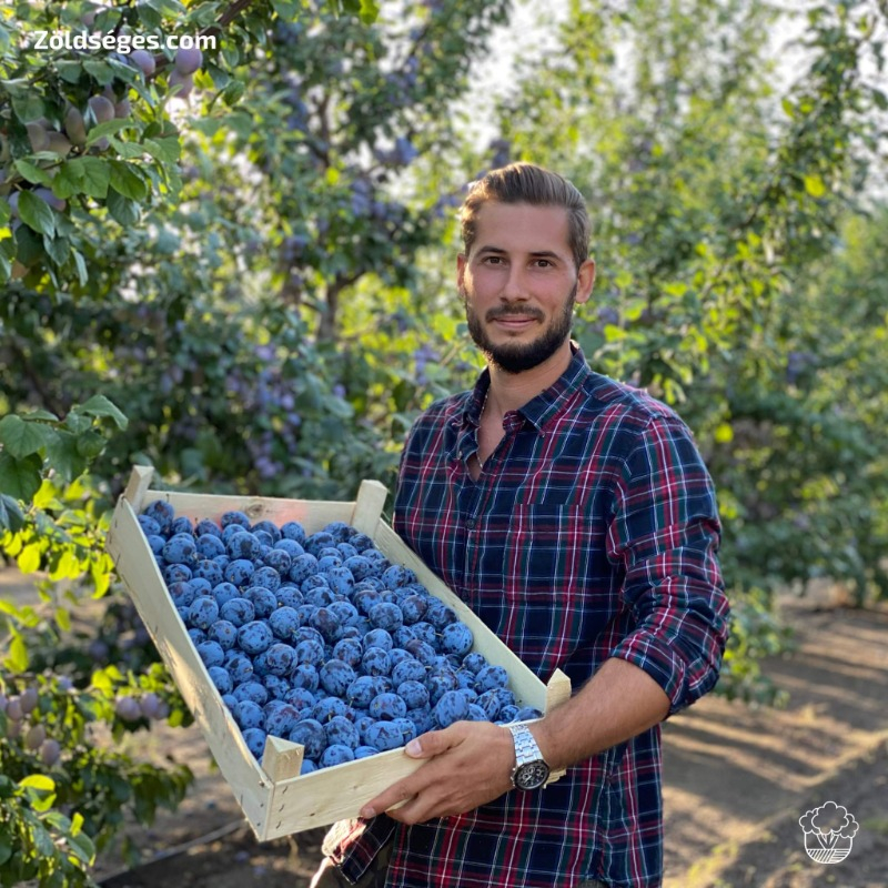 Németh Laci szilva farmja
