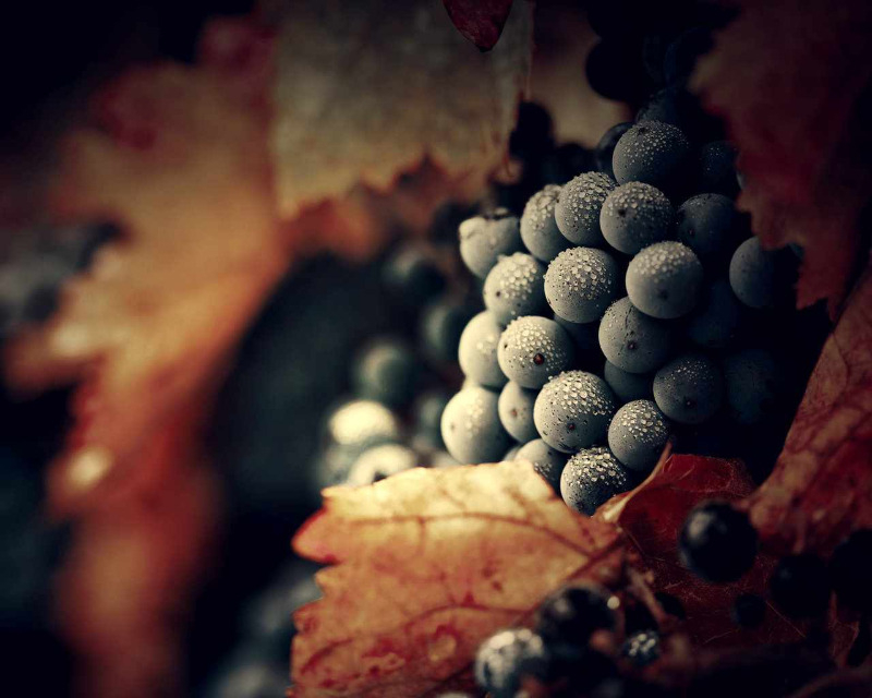 René's Wine Heaven