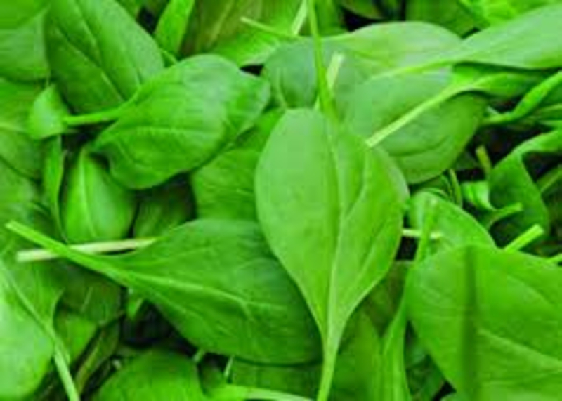 Bébispenót (80 g)