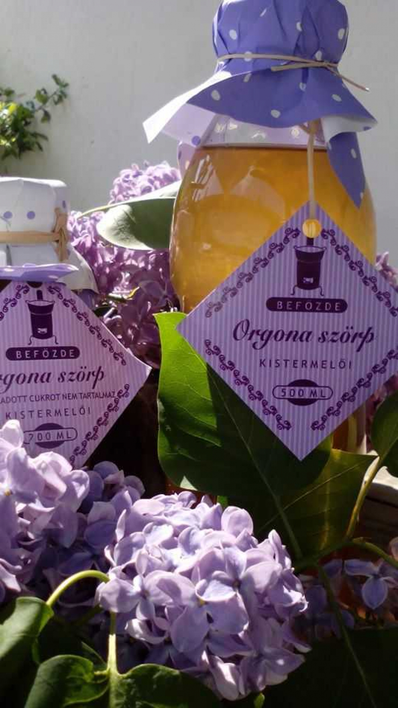 Orgona szörp 500 ml