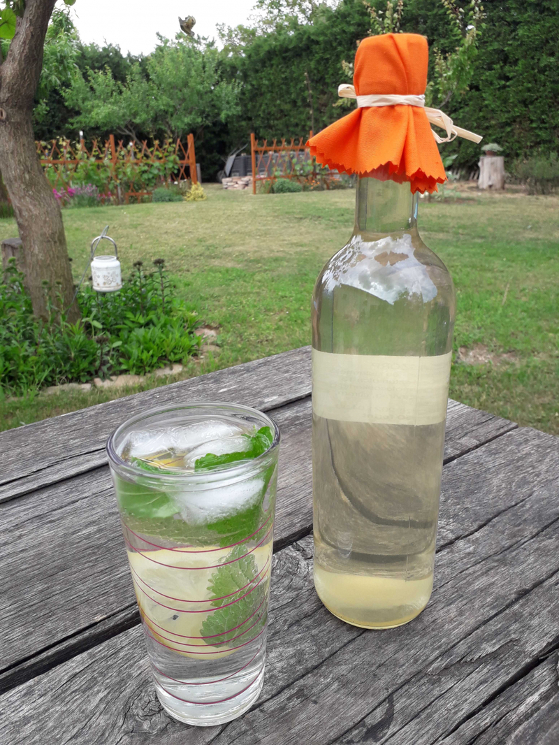 Házi menta szörp (750 ml)