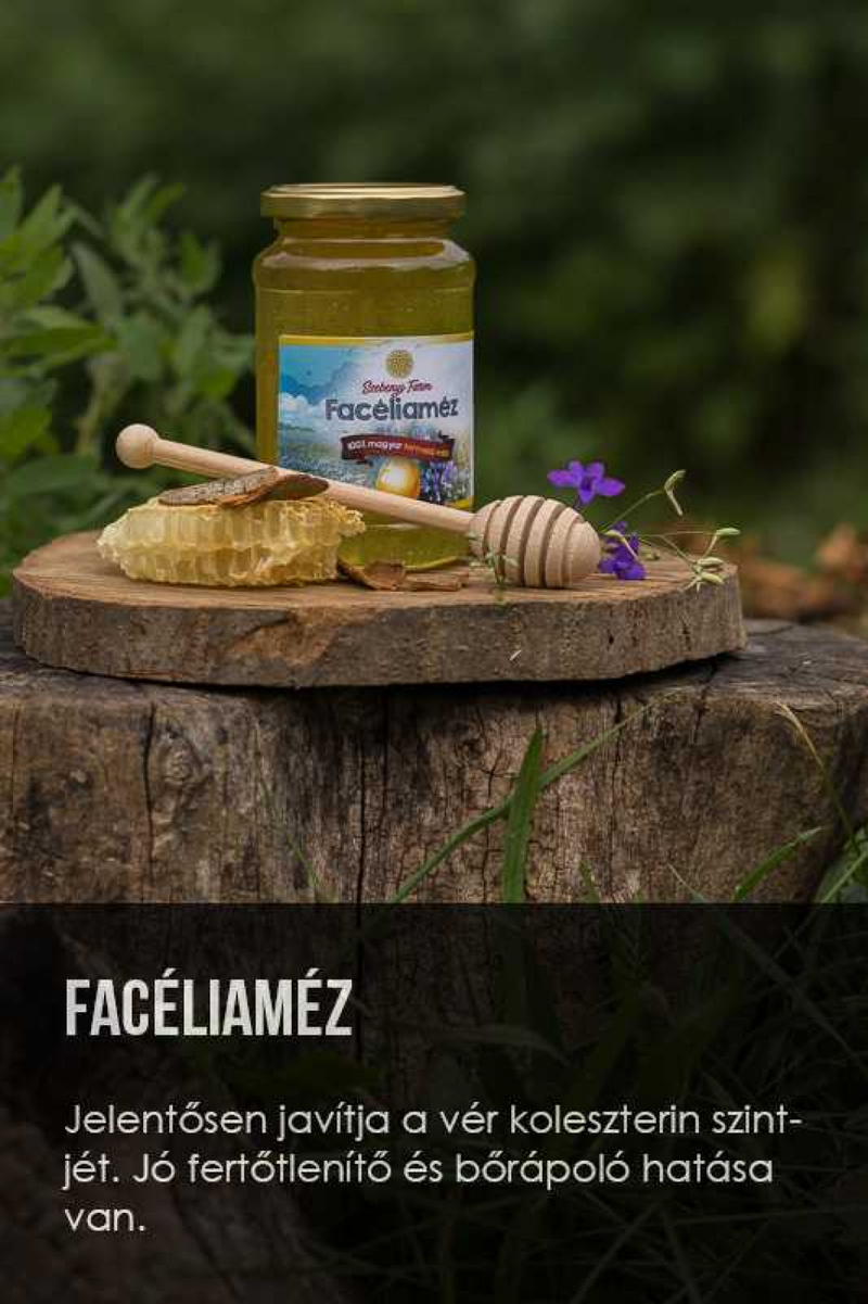Facélisméz