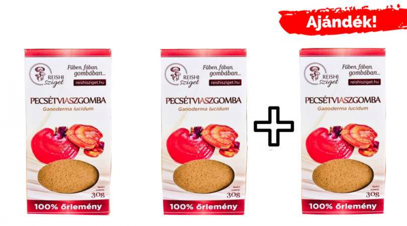 Ganoderma gombapor 2+1 csomag AKCIÓ
