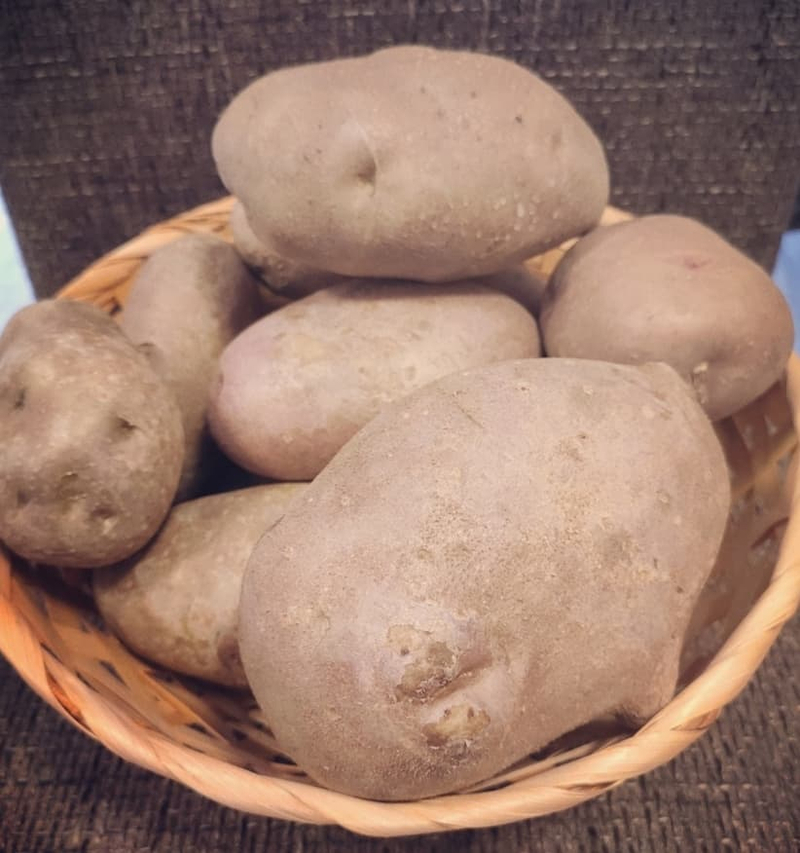 Burgonya