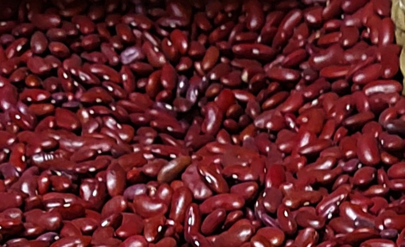 Chilli- vagy vörösbab