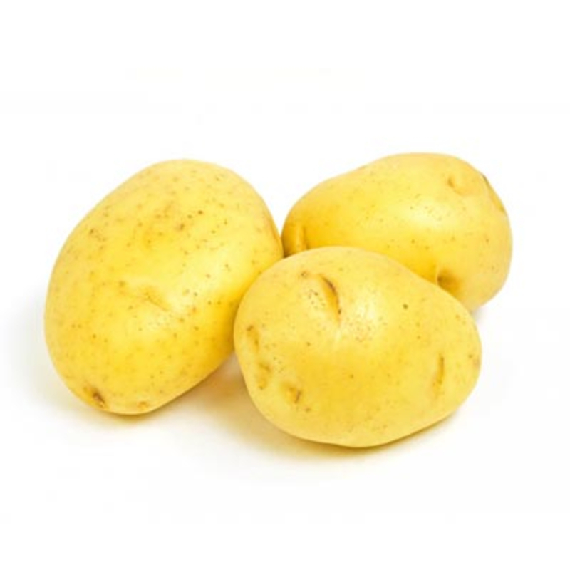 Sárgaburgonya