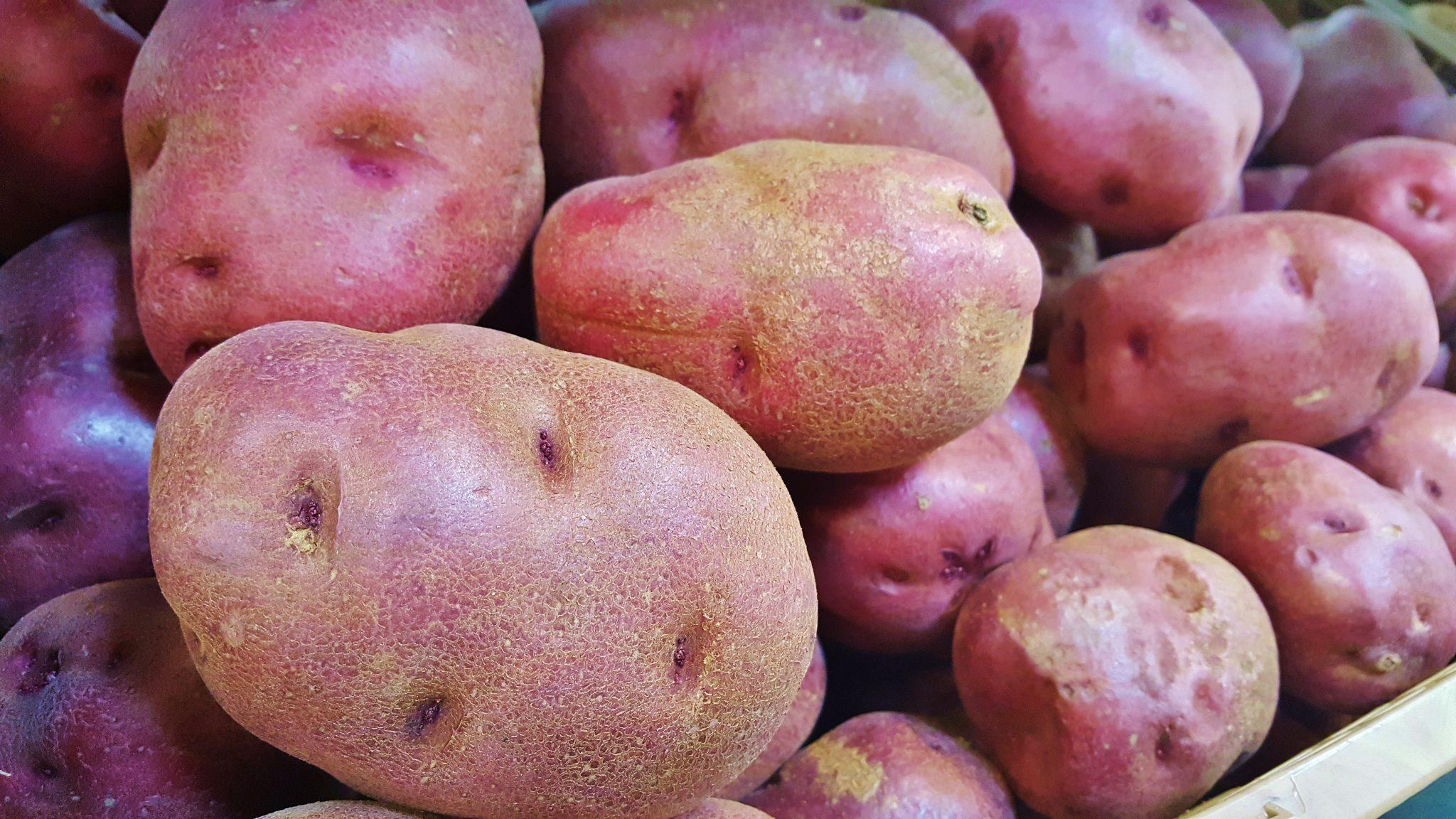Burgonya (kg)