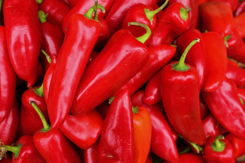 Kápia paprika (kg)