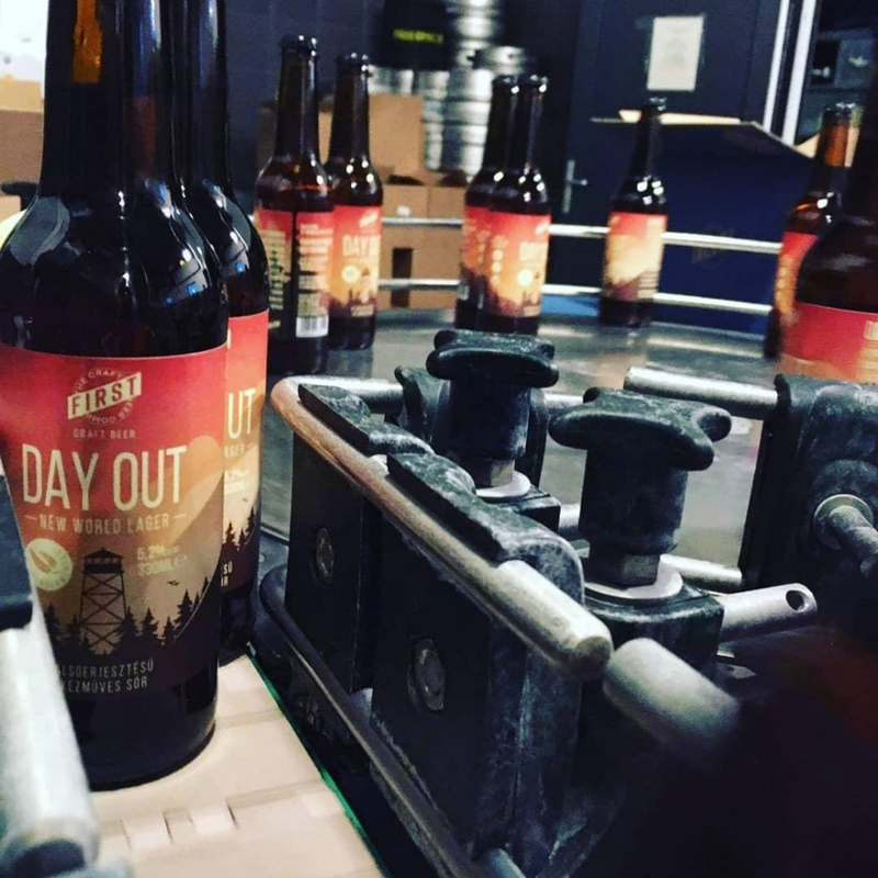 Day Out gluténmentes lager