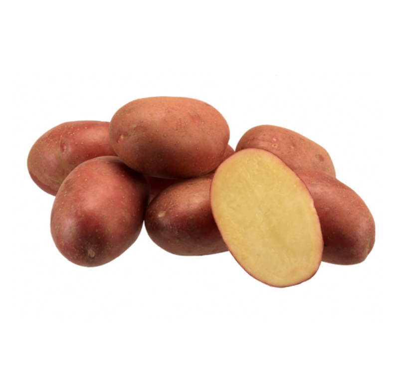 Burgonya