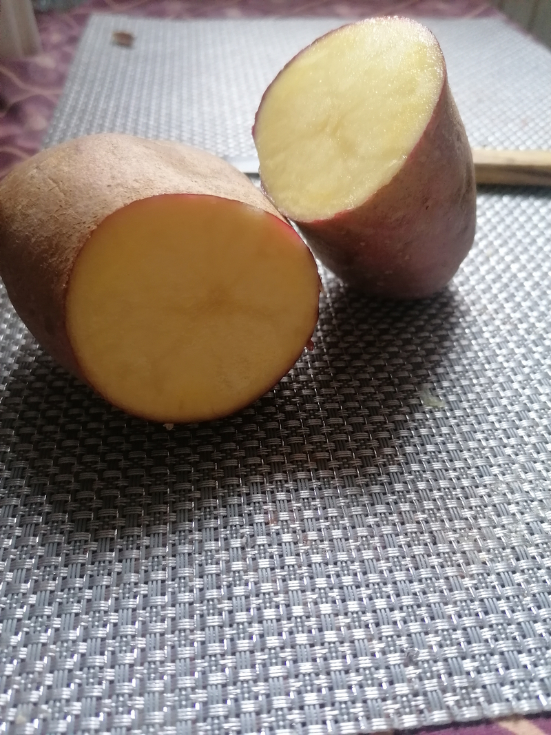 Burgonya