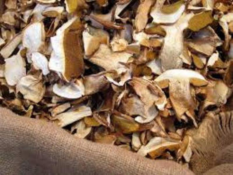 Szárított őrölt vargánya gomba 50 gr