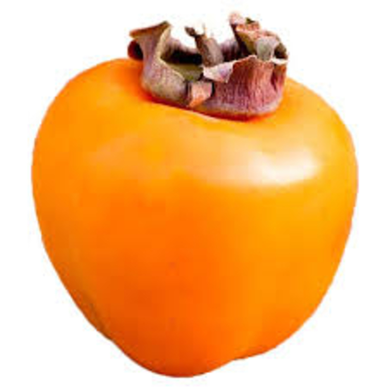 Hurma vagy datolyaszilva