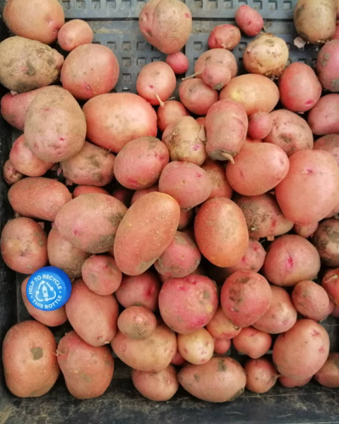Vegyszermentes parázskrumpli