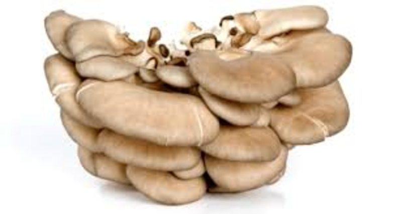 Leveles laska gomba (300 g)