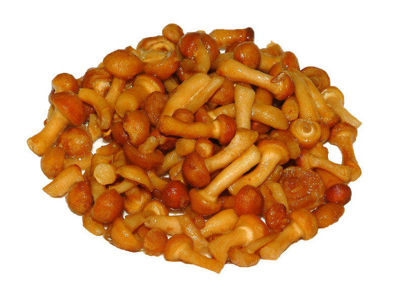 Nameko gomba