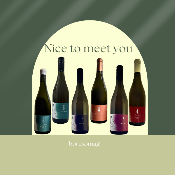 Nice to meet you borcsomag