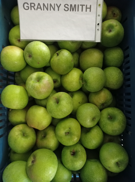 Granny Smith alma